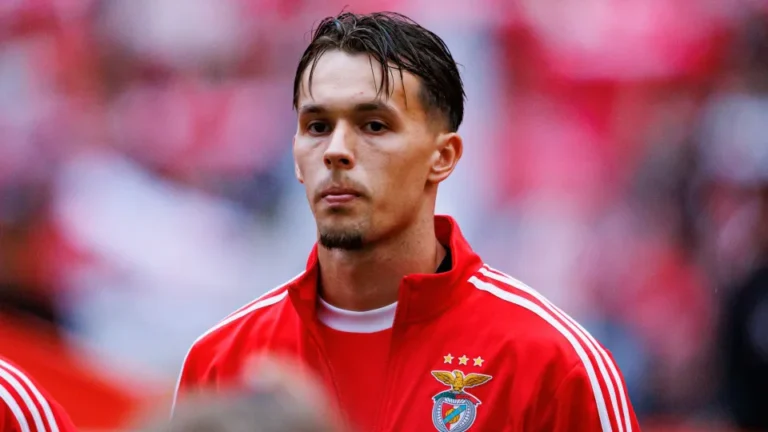Dedic já deu o ‘sim’. Os milhões em discussão entre Benfica e Newcastle