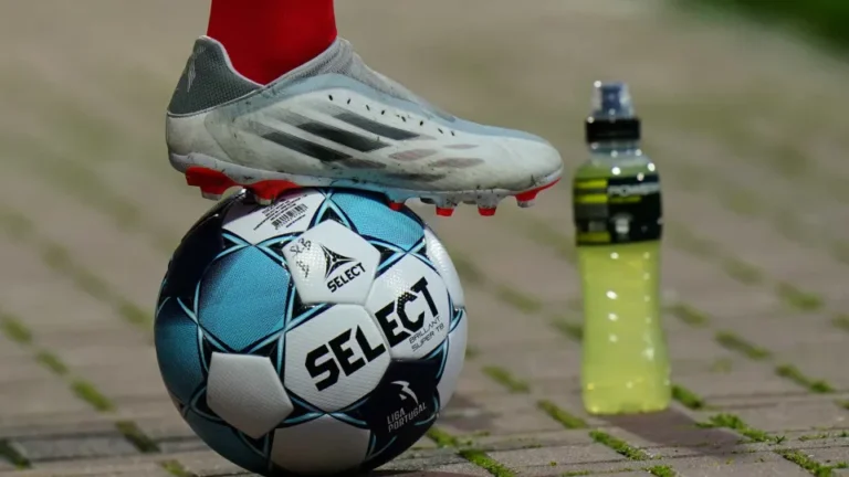 Maternidade no desporto exige lei transversal, defende especialista
